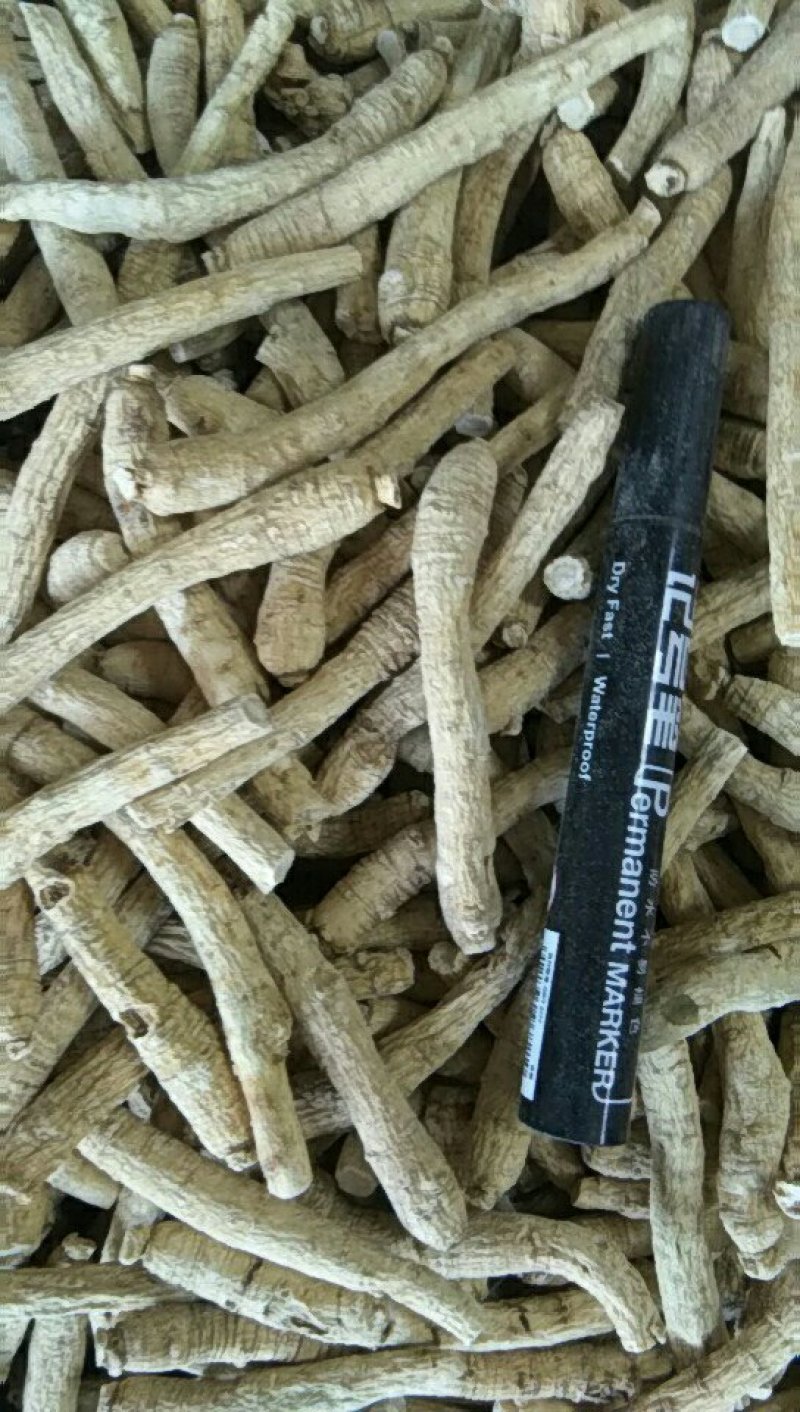 西洋参价格美丽