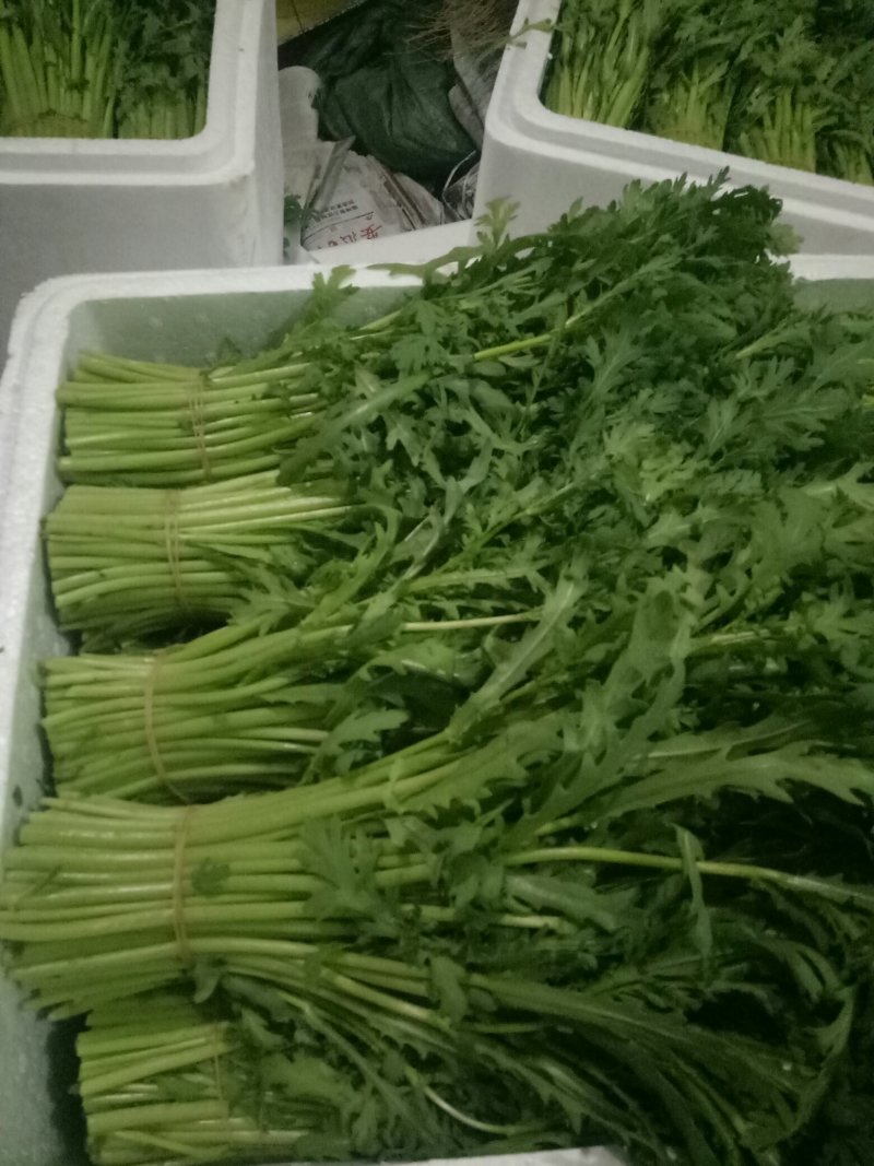 茼蒿