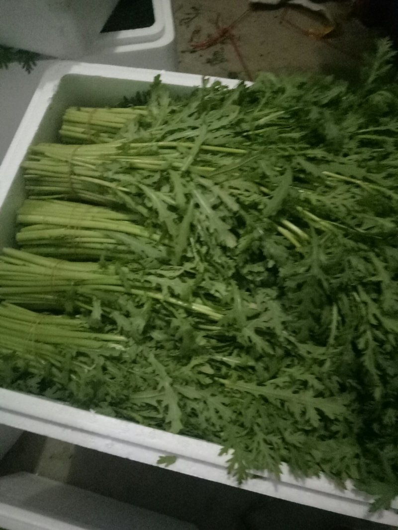 茼蒿