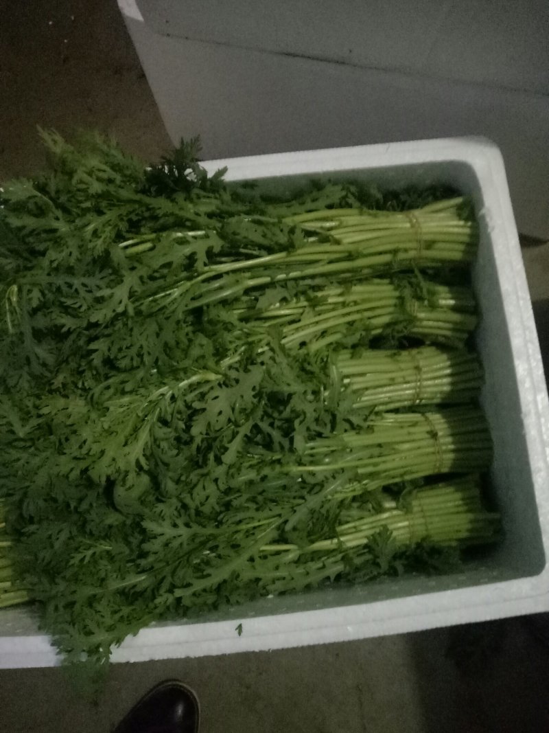 茼蒿
