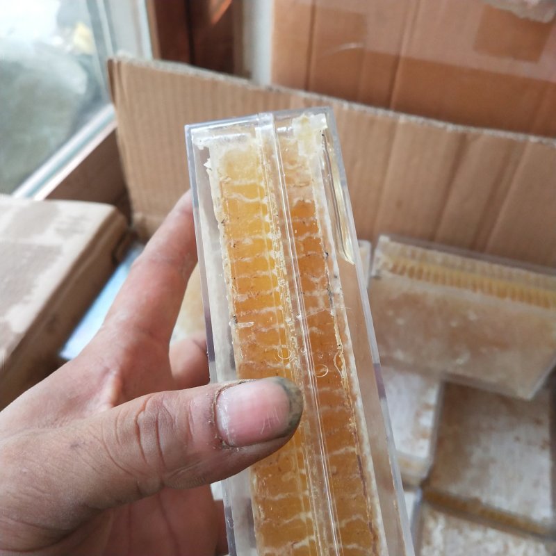 蜂巢蜜好蜂蜜看的见