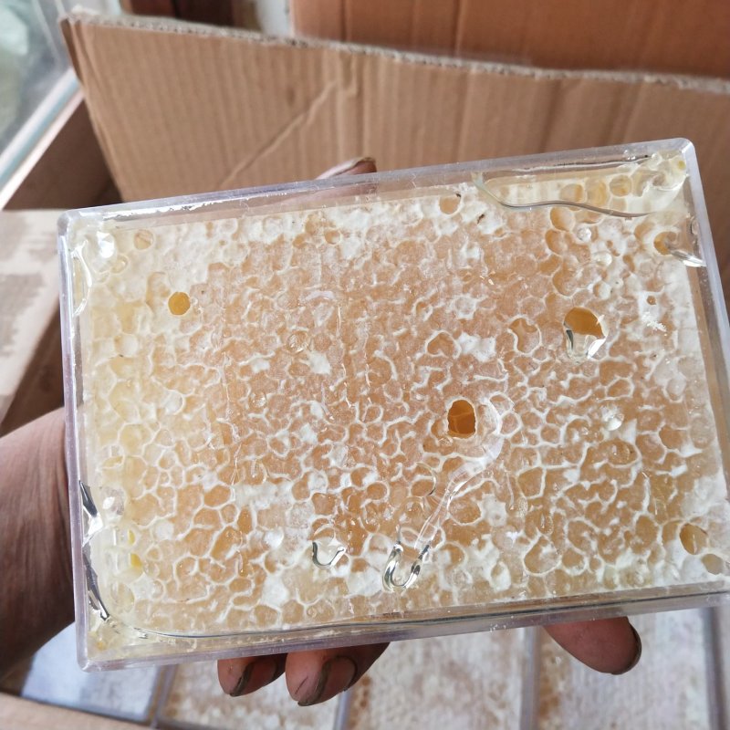 蜂巢蜜好蜂蜜看的见