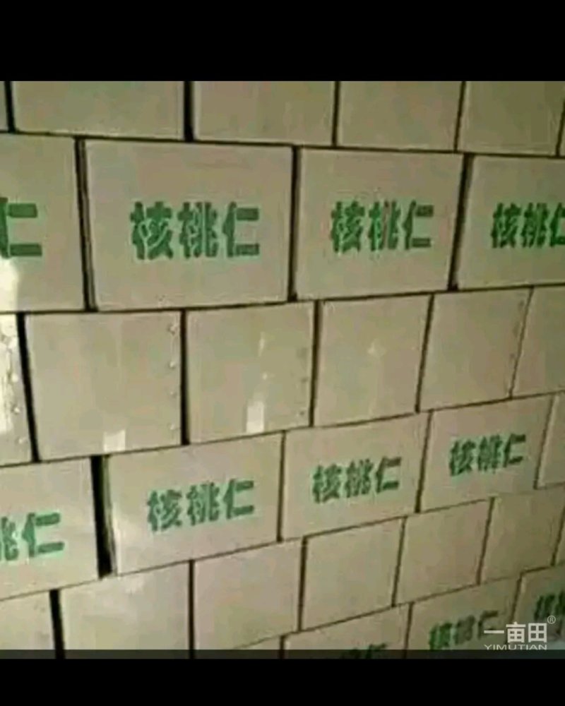 尖普核桃仁
