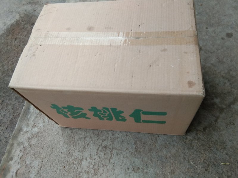 尖普核桃仁