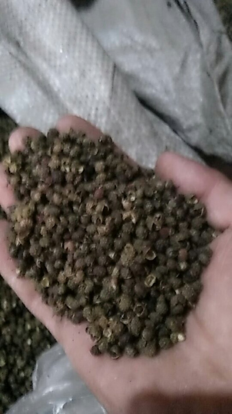 云南青麻