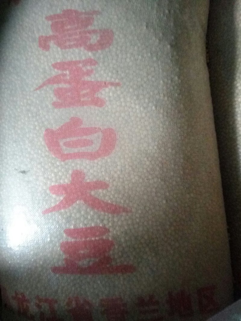 东北大豆