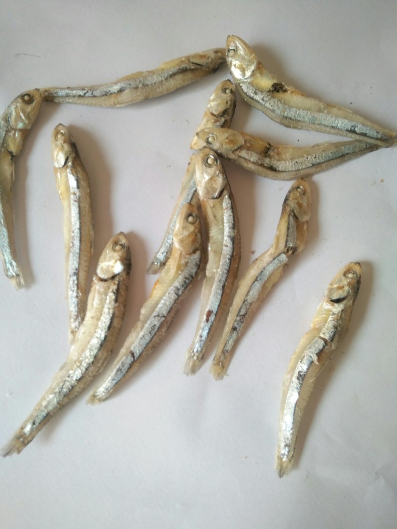 海燕鱼批发，500克一包