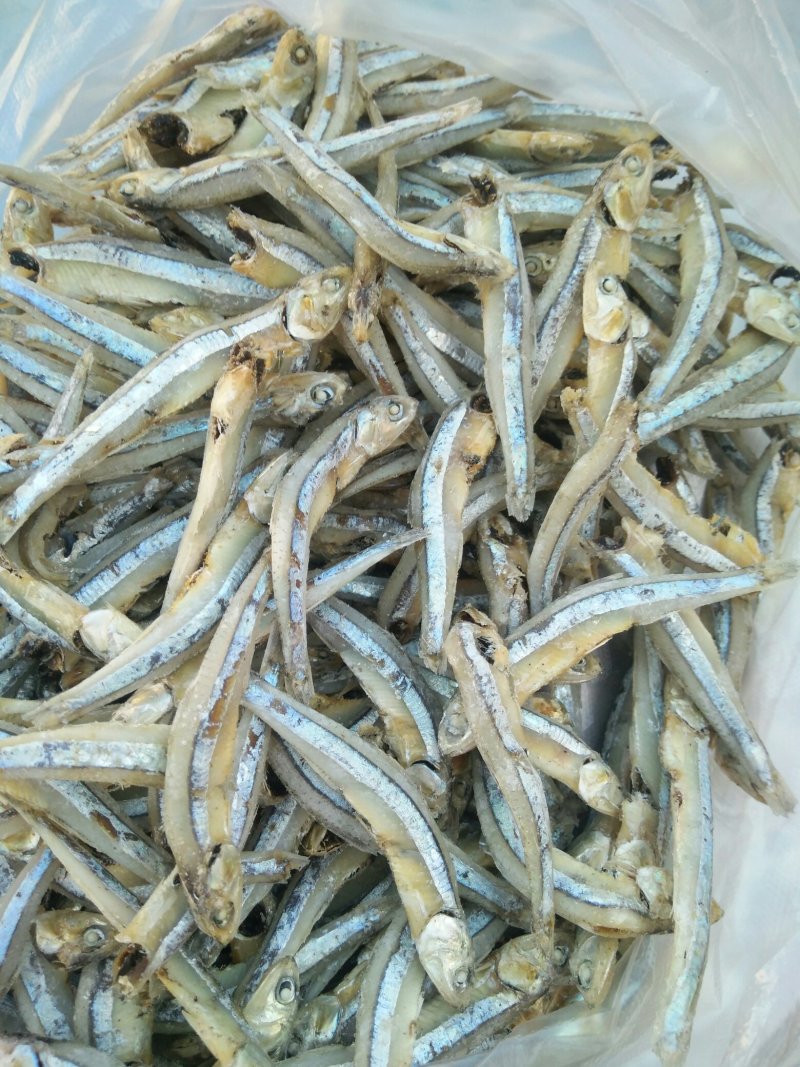 海燕鱼批发，500克一包