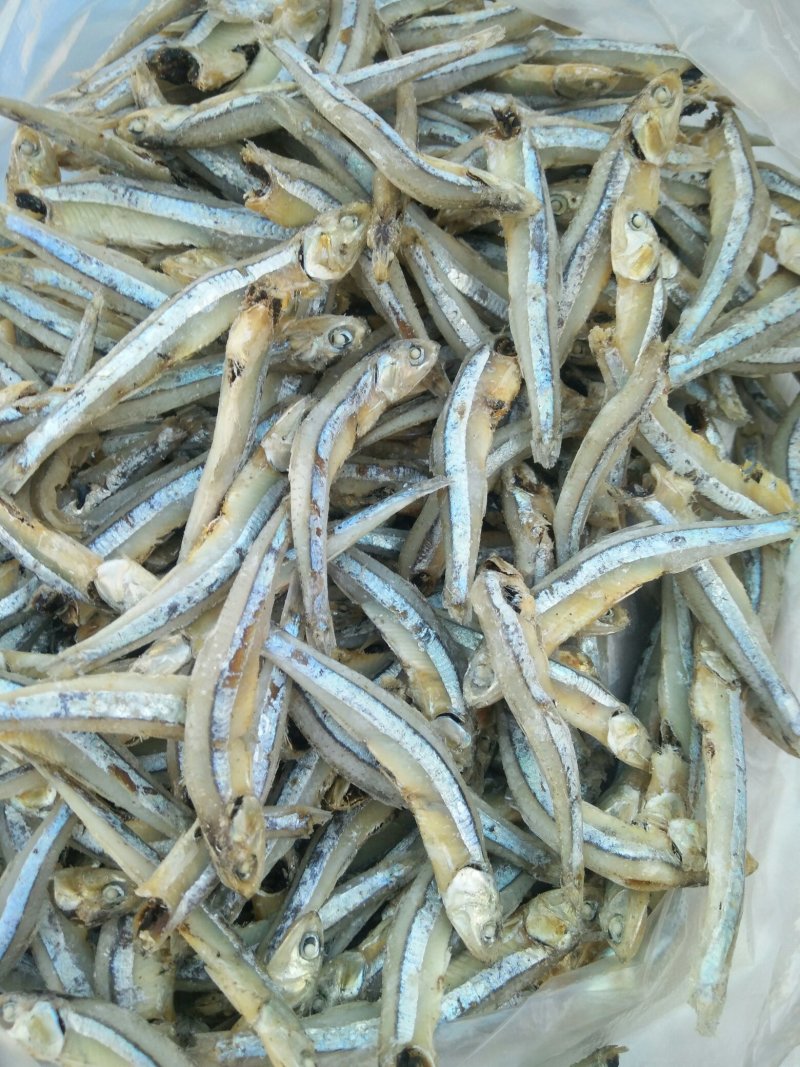 海燕鱼批发，500克一包