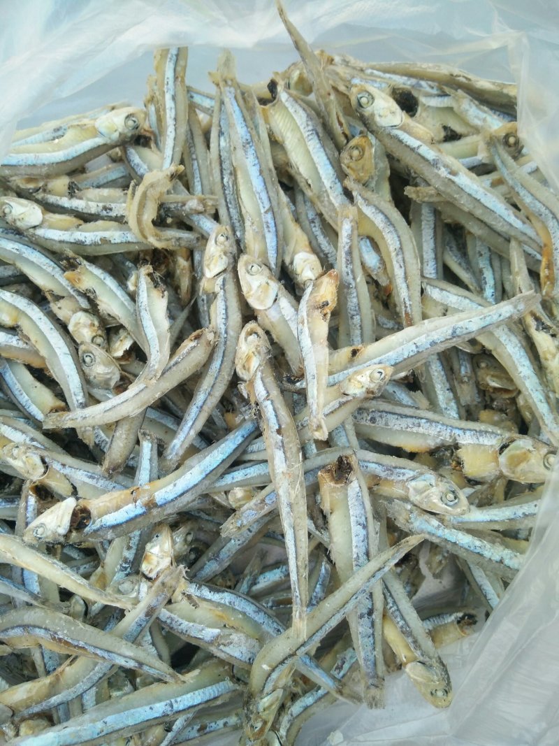 海燕鱼批发，500克一包