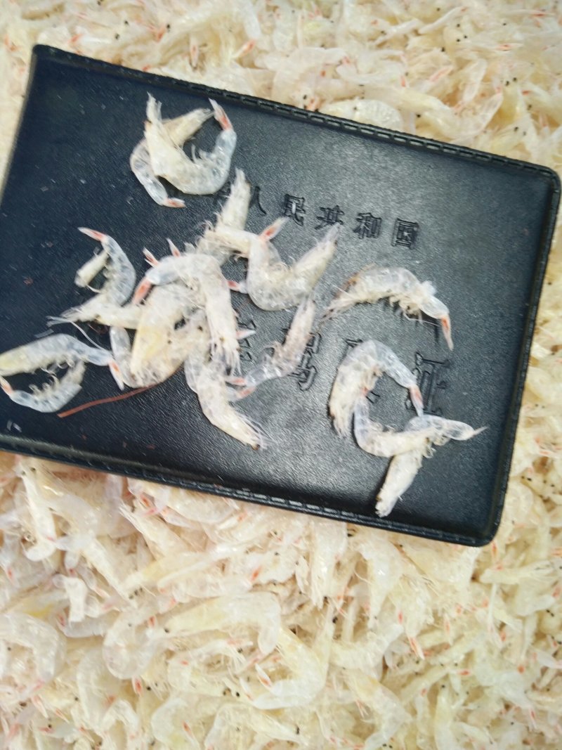虾皮批发160元每箱