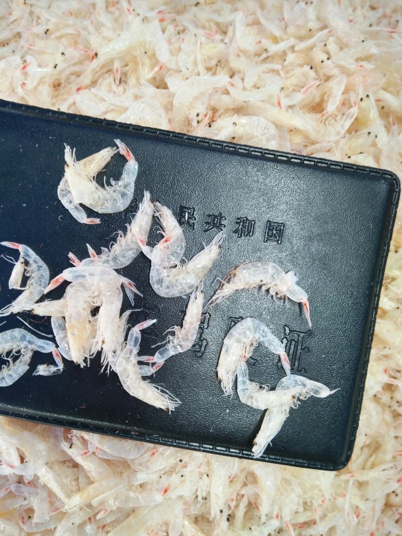 虾皮批发160元每箱