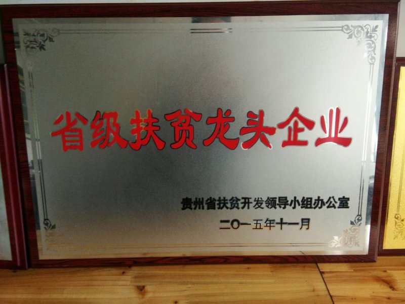 紫花三叉大白芨