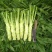 花叶棒菜（青棒薄皮）1.0斤以上