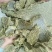 质量有保，货源充足，多购有优惠