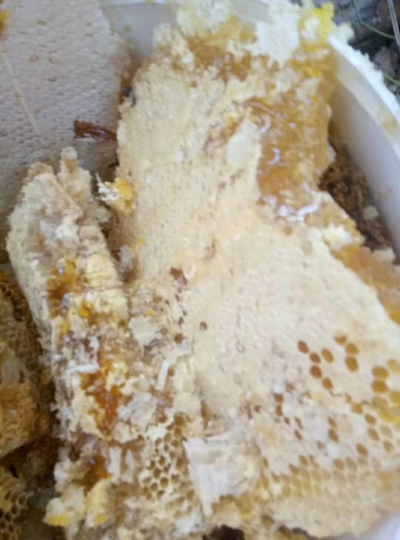 东北野生蜂蜜