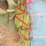四季豆小金豆
