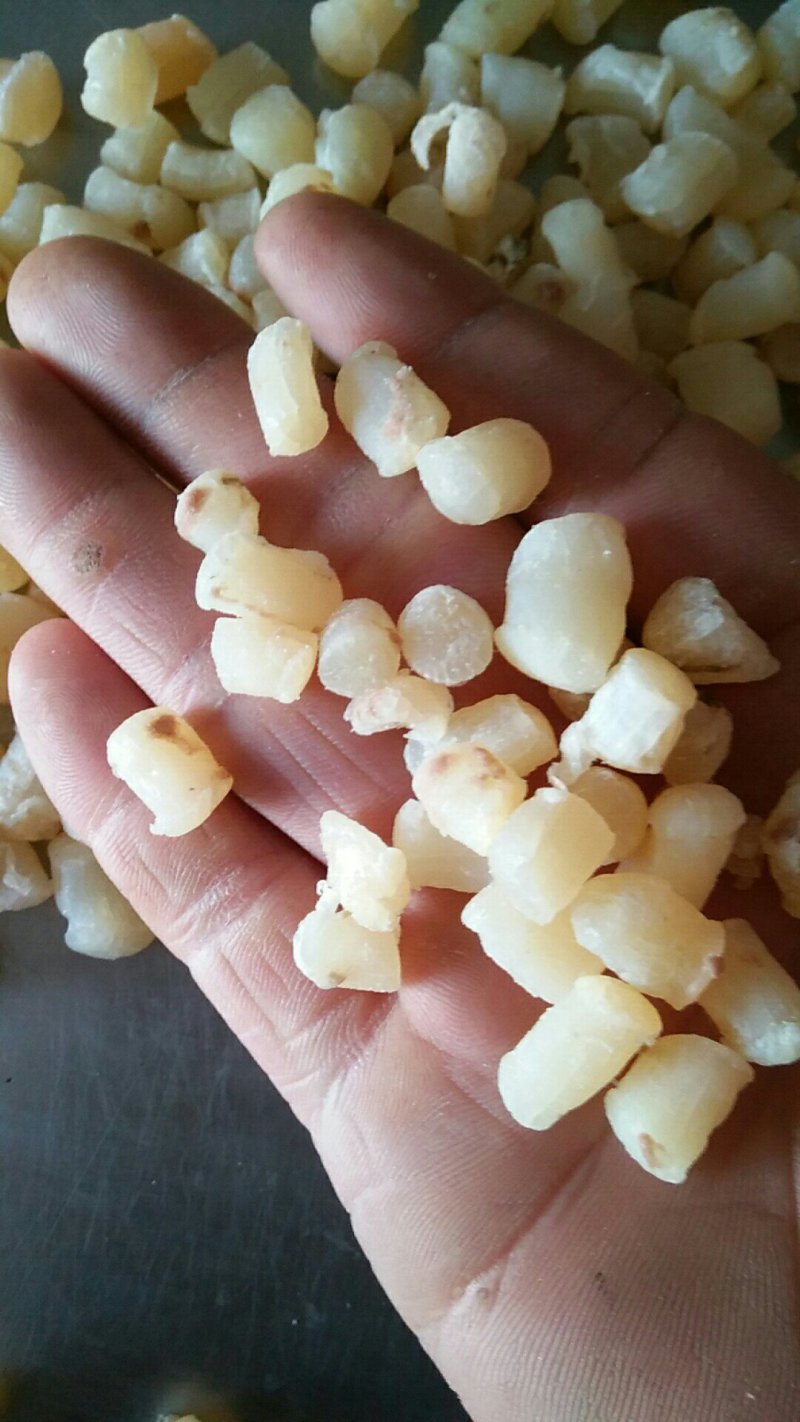 干贝批发