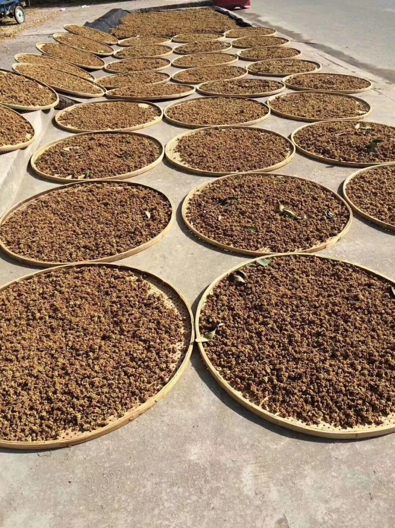 纯手工枇杷膏，雾霾克星