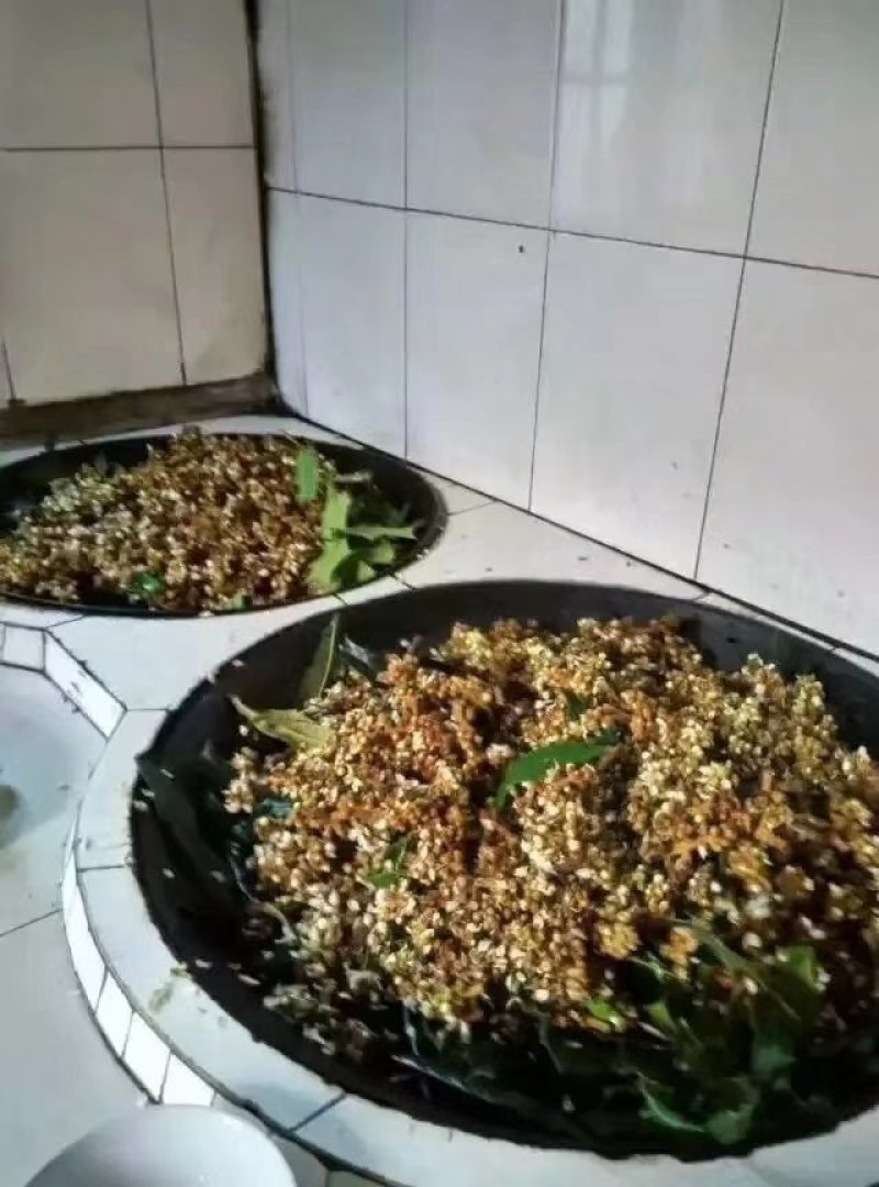 纯手工枇杷膏，雾霾克星