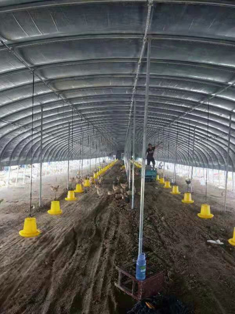 农业钢架大棚拱形温室薄膜大棚