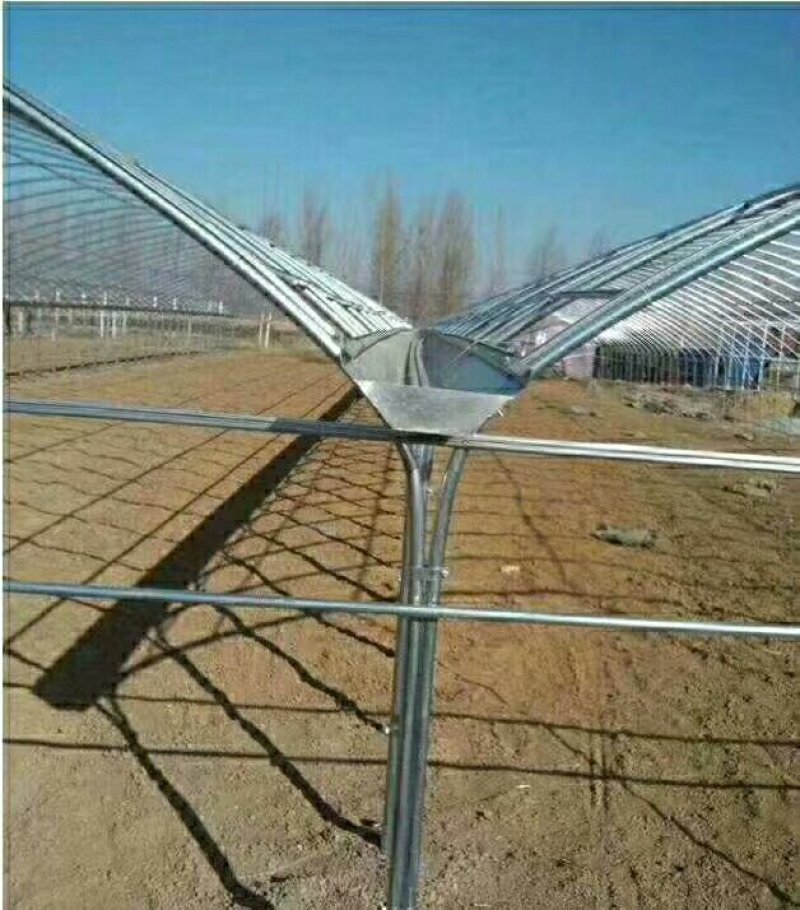 农业钢架大棚拱形温室薄膜大棚
