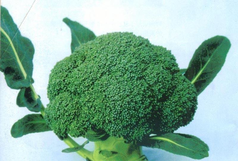 水果蔬菜
