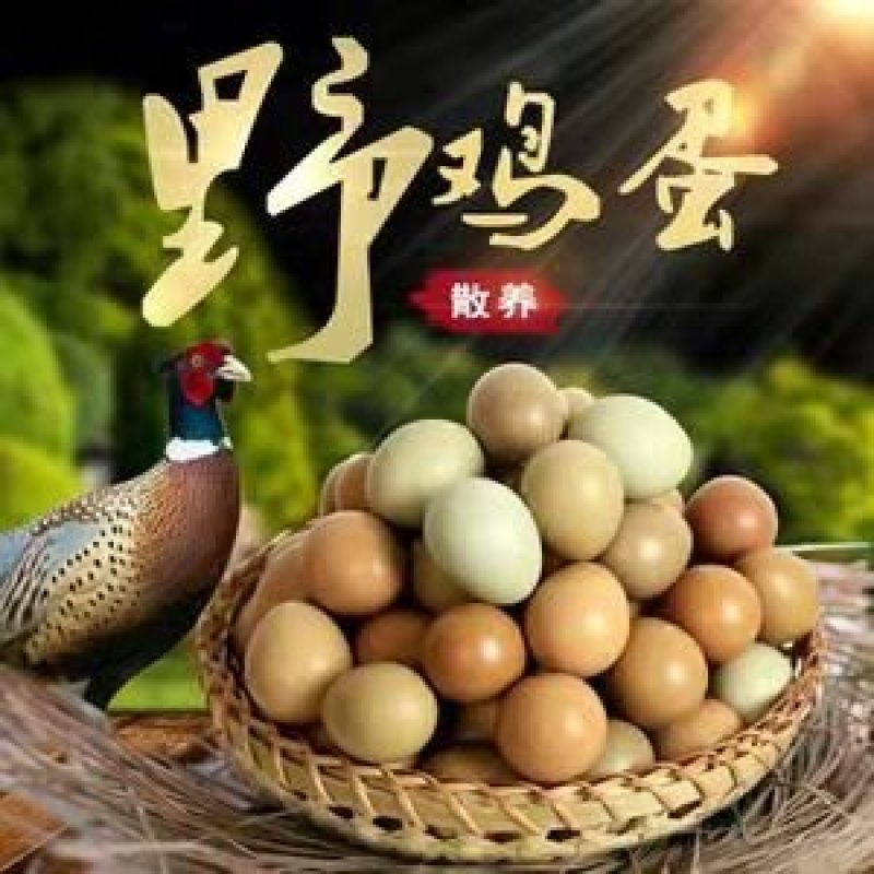 野鸡蛋（七彩蛋）