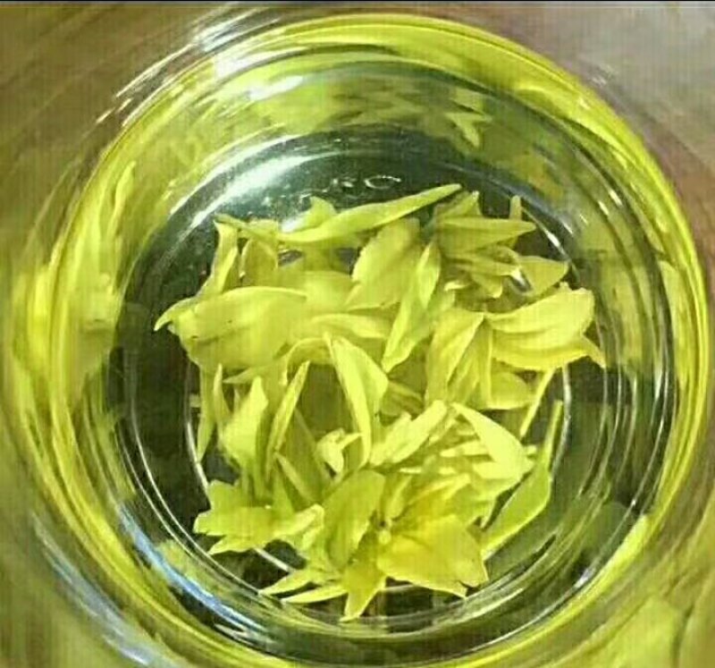 安吉白茶