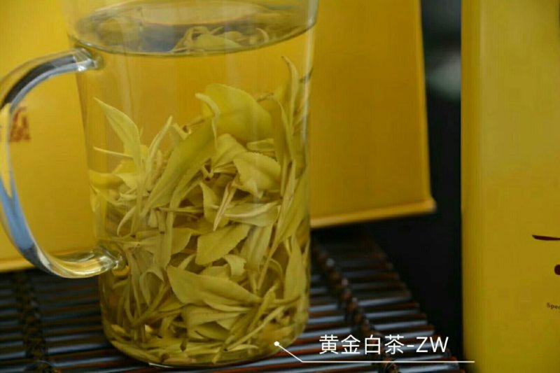 安吉白茶