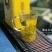 安吉白茶
