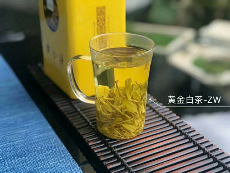 安吉白茶