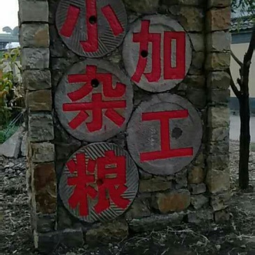 英国红芸豆真空包装450克