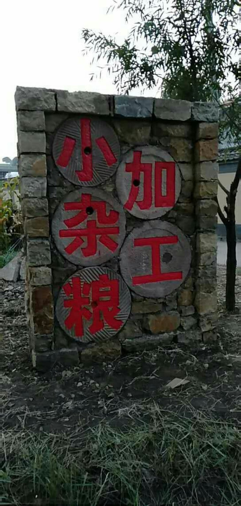 英国红芸豆真空包装450克