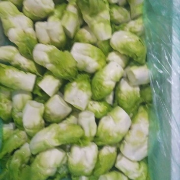 儿菜
