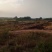 本养殖基地现有土地200亩