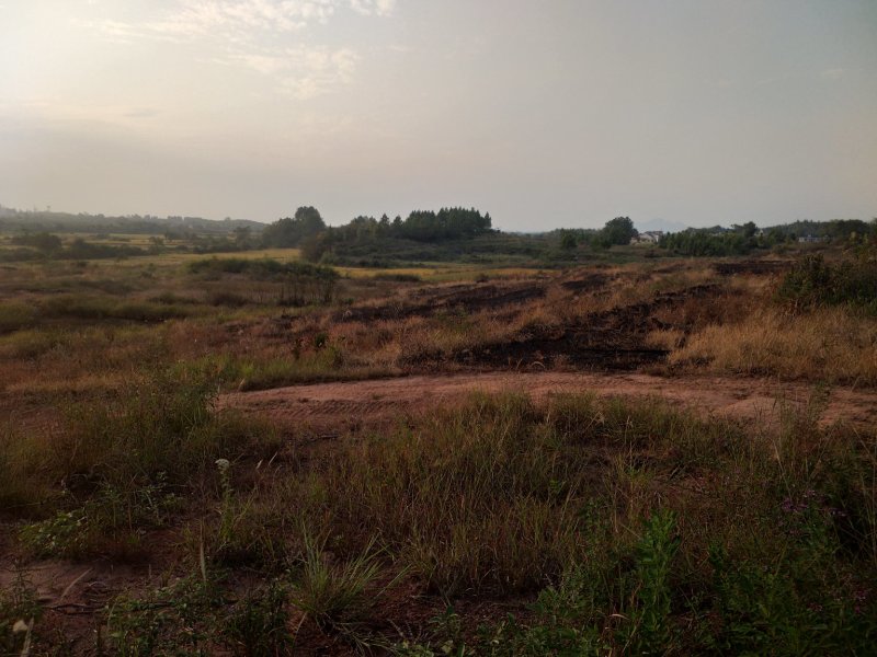 本养殖基地现有土地200亩