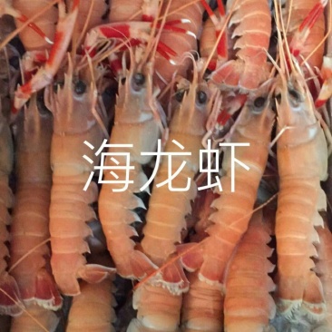 虾