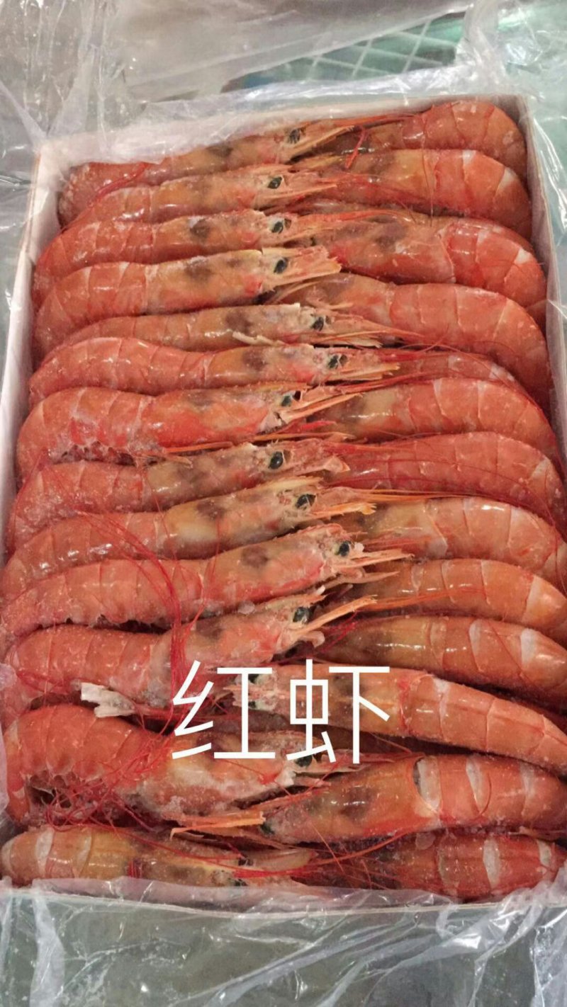 虾