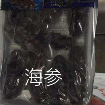 海参
