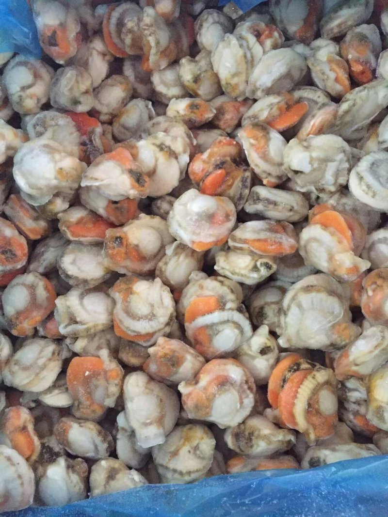 三文鱼，蟹肉棒