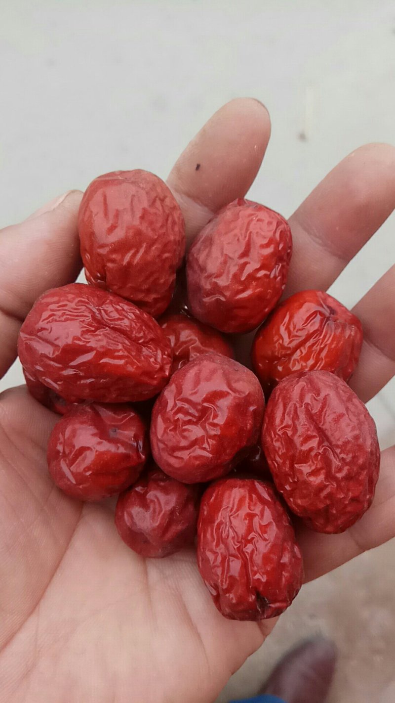 乐陵枣圈以质论价量大优惠