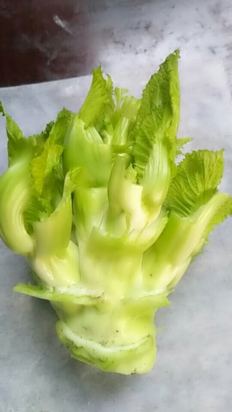 早儿菜以上市