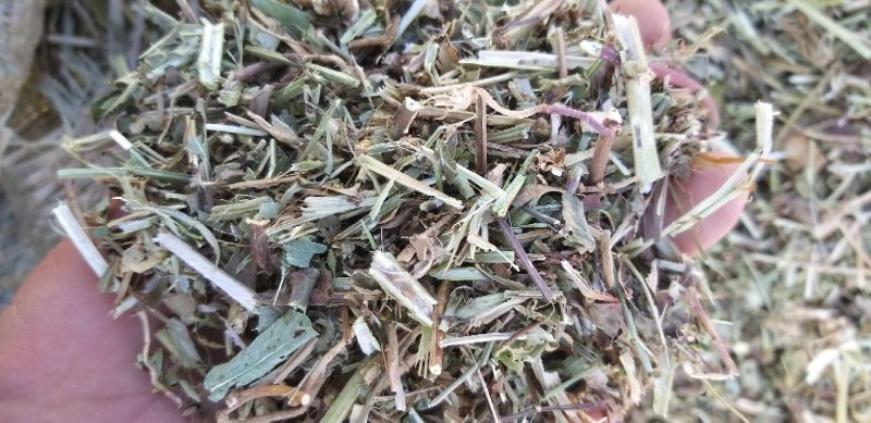 花生秧草粉