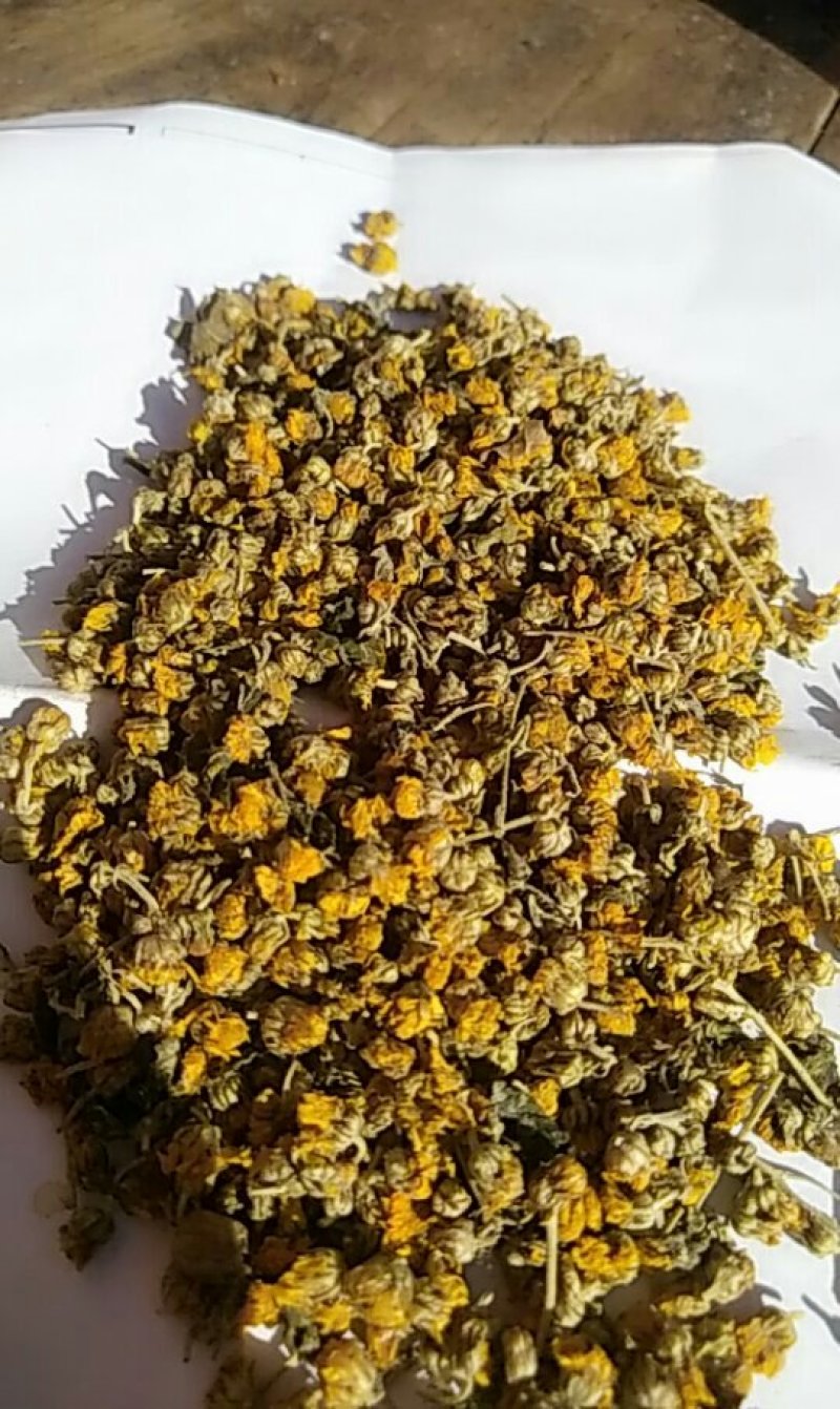 野菊花颗粒，代装