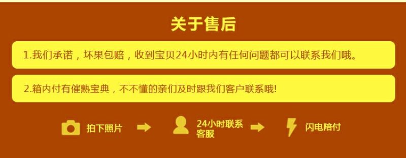 香蕉福建南靖苹果蕉5斤装一件代发包邮非广西小米蕉