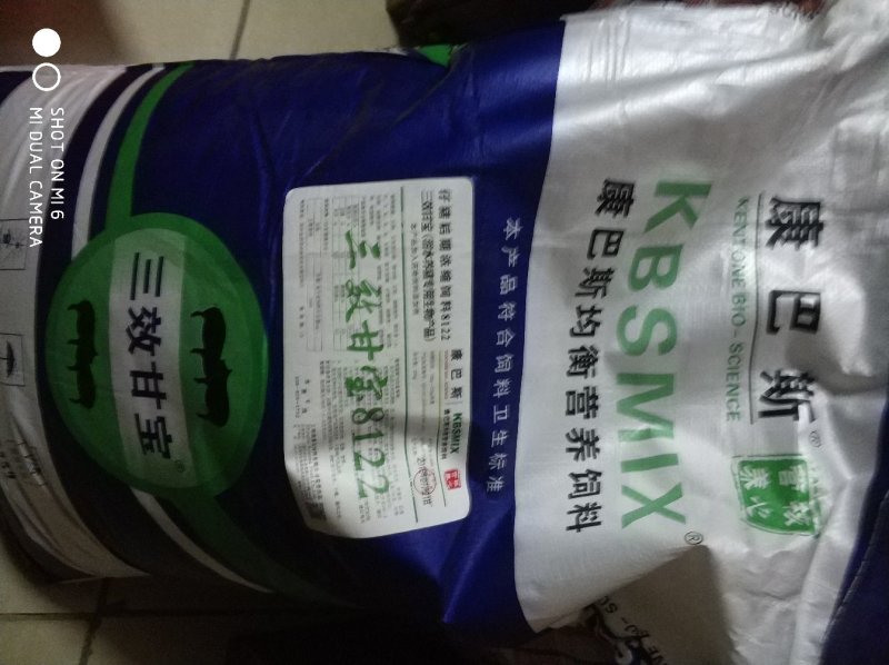 猪饲料