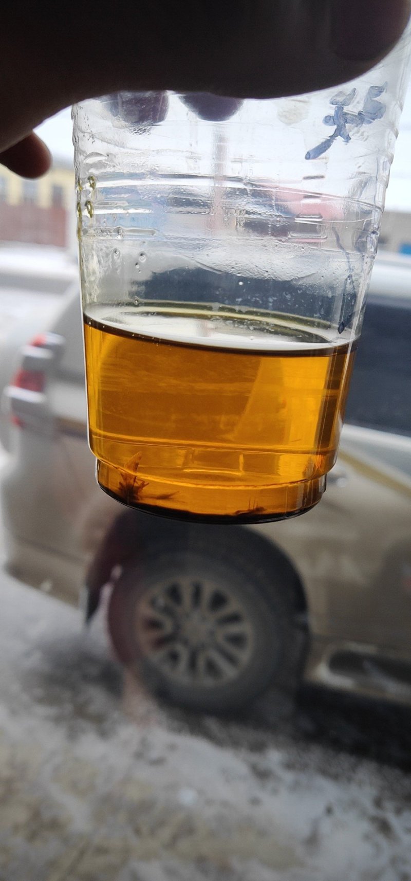 油菜籽
