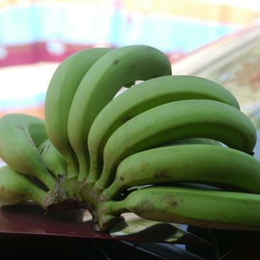香蕉福建南靖天宝香蕉5斤装包邮非进口香蕉
