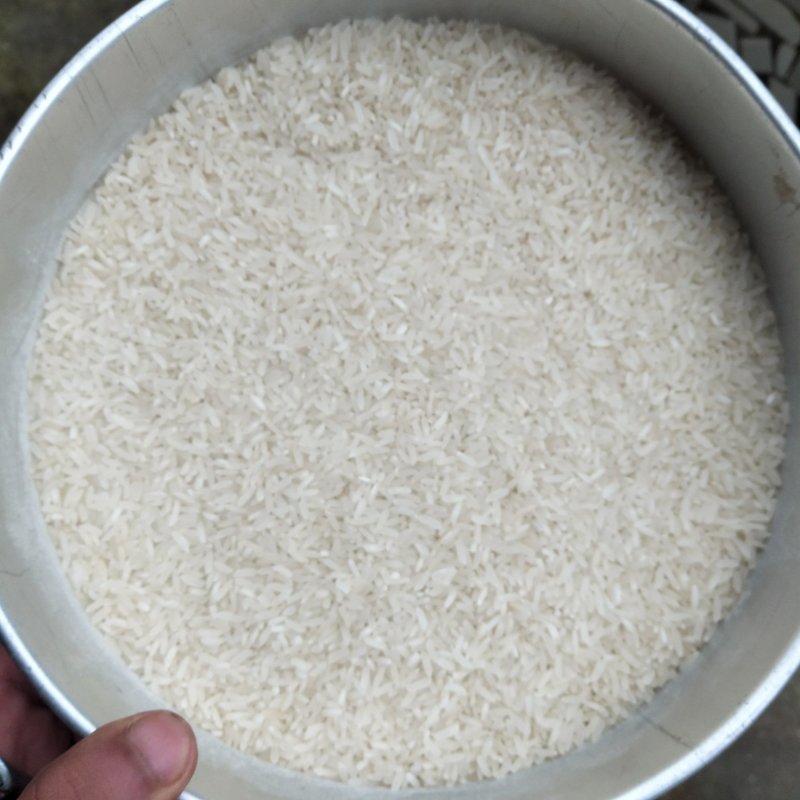 优质大米（大量优质普米，长香米）